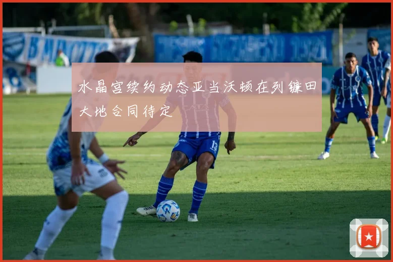 水晶宫续约动态亚当沃顿在列镰田大地合同待定