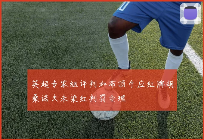 英超专家组评判加布顶牛应红牌胡桑诺夫未染红判罚合理